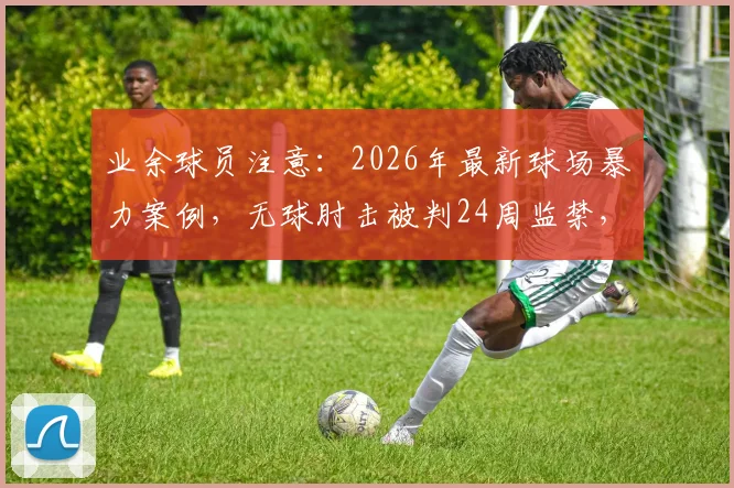 业余球员注意：2026年最新球场暴力案例，无球肘击被判24周监禁，法律后果详解